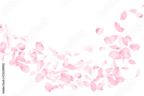Cherry blossom flying petals flower parts falling with wind isolated on white. Vector Valentine's Day background illustration. Sakura blossom pink flower petals. Brooming peach tree elements.