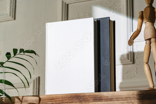 Two books stand vertically against the wall