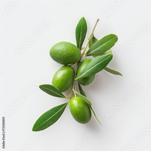 green olives on branch isolated on white background