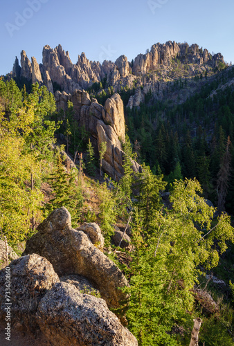 Rugged Overlook at the Black Hills in South Dakota