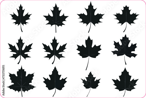 Autumn leaves silhouettes, Silhouette of the maple leaf, Silhouettes of maple leaf isolated on a white background