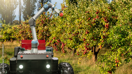Autonomous robot harvester with robotic arm harvesting apples on a smart farm. Concept