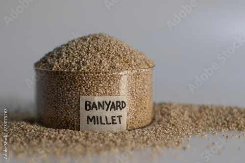 Closeup of banyard millet, a healthy grain, in a glass bowl with label on it filled to the brim