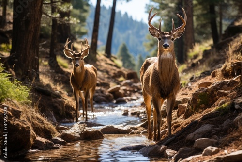 Animals migrating to colder altitudes between pine trees and winding streams., generative IA