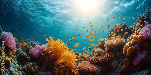A mesmerizing underwater world filled with colorful stony corals, swaying seaweed, and a diverse array of marine organisms including vibrant fish and intricate invertebrates, invites you to dive into