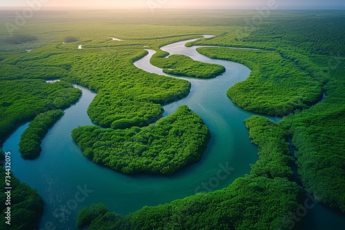 An enchanting aerial view captures the beauty of a river winding through a lush green forest, showcasing the intricate network of water resources and natural landscapes, while highlighting the peacef