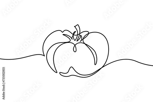 Tomato in continuous line art drawing style. Ripe tomato fruit black linear sketch isolated on white background. Vector illustration