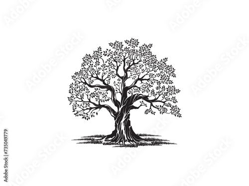 giant oak tree hand drawn vector illustrations
