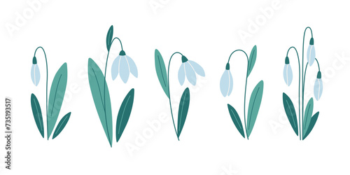 Snowdrop flowers collection. Spring flowers. Vector illustration in flat style