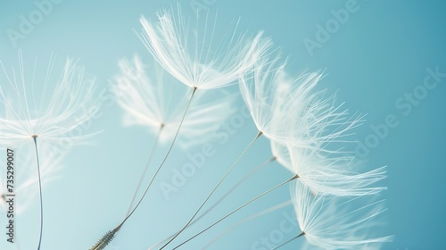 Generative AI : dandelion plant with seeds isolated on blue