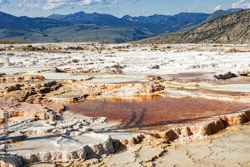 Canary mineral hot spring on top Mammoth Springs and surrounding mountain landscape during summer in Yellowstone National Park Wyoming, USA.