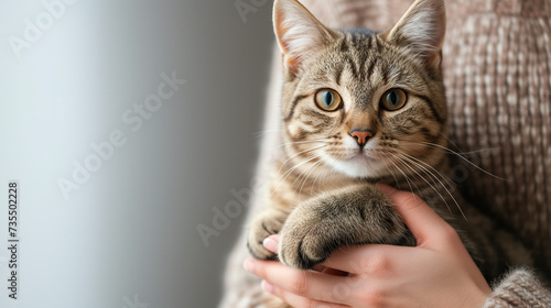 Woman Holding Kitten in Hands, Close-Up of a Tabby Cat Being Held Indoors. Copy space.