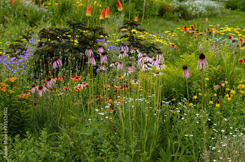 A xeriscape garden with a wide variety of hardy, drought tolerant plants, including Echinacea, Coneflowers, Gaillardia, Geranium rozanne, Poker plants and more.