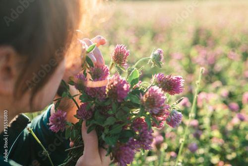 Woman picking clover in field. Womens health flower. Womans face and red clover flowers in the rays of the sun in a clover field.Useful herbs and flowers