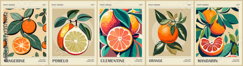 Set of abstract Fruit Market retro posters. Trendy kitchen gallery wall art with citrus fruits - orange, pomelo, mandarin, tangerine, clementine. Modern groovy interior paintings. Vector illustration.