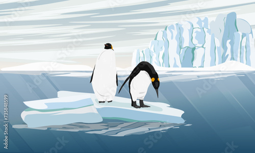 A pair of emperor penguins stands on a large ice floe. Birds of the South Pole. Realistic vector animal