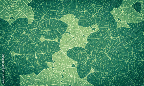 green tropical leaves spring nature wallpaper background
