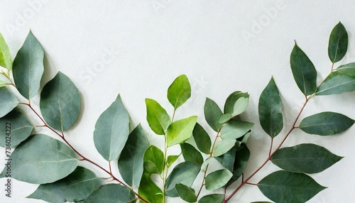 watercolor green leaves frame herbal eucalyptus border green leaves and branches on white background simple minimalistic design for card invitation poster save the date wedding or greeting