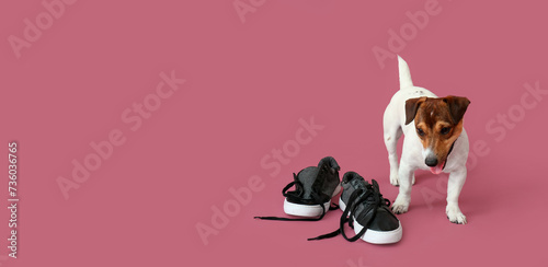 Funny naughty dog playing with shoes on pink background with space for text