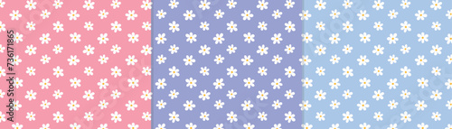 vector seamless pattern set with daisy. pink, blue, violet repetitive trendy floral spring summer patterns. women's day, easter romantic white flower patterns