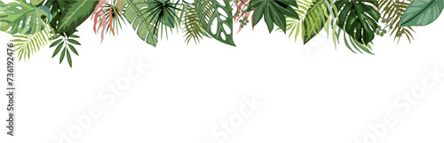 Tropical leaves and branches border. Trendy botanical illustration. Greenery for wedding invitation, greeting cards, decoration, stationery design. Vector art Isolated on transparent background.
