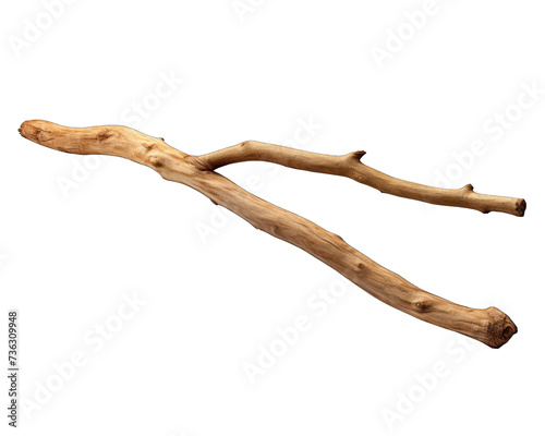 Dry tree stick isolated on white