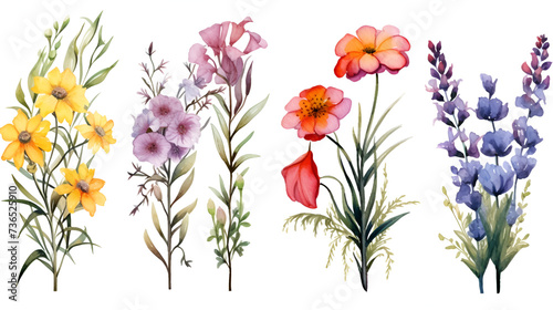 set of different beautiful bouquets wild flowers flat illustration.