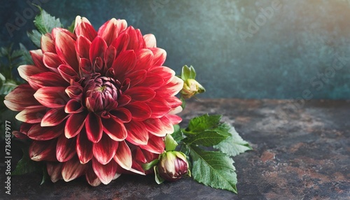 floral card with copy space red dahlia on dark textured grange background bouquet of garden flowers
