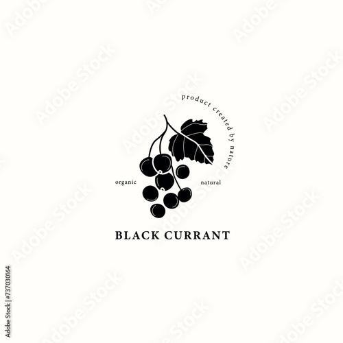 Flat vector black currant branch drawing