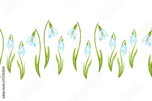 Seamless border, hand drawn watercolor illustration banner on spring flowers theme. Snowdrops, primroses, spring, freshness