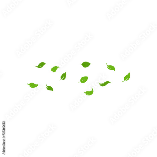 flying leaves illustration 