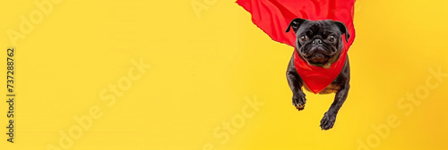 Superhero dog, Cute pug with a red cloak and red mask jumping and flying on yellow background with copy space. The concept of a superhero, funny dog pet, leader, funny animal studio shot