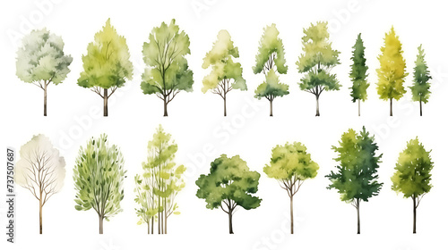 Set of watercolor green tree isolated on white background for landscape and architecture drawing, elements for environment and garden, botanical for section in spring