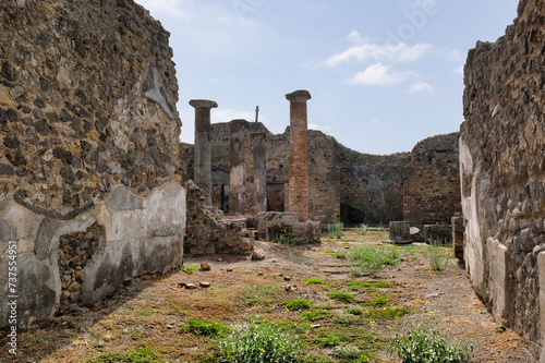 The House of the Faun is one of the largest and most luxurious domus in Pompeii, it is named after the bronze statue of a dancing satyr which was located in the central basin of the atrium. (12)