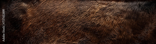 close up of brown horse fur skin texture pattern, background with size ratio 32:9