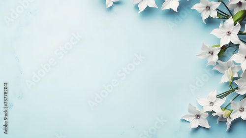 White star-shaped flowers on a blue background. Botanical composition with copy space for design and spring themes. Wedding invitations, mother's day, birthday