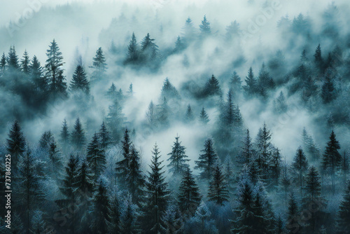Mysterious Fog Envelops Pine Forest in Winter, Scenic Mountain Views and Greenery, Ideal for Travel Postcards