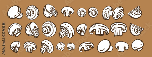 Isolated vector set of mushrooms. Champignons set. Hand drawn style.
