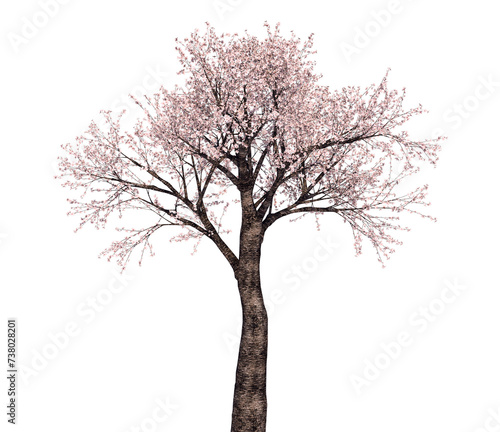 桜の木_3Dイラスト_1