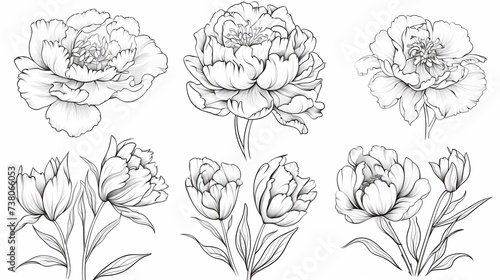 Set of hand drawn peony flowers isolated on white background, Generative AI illustrations.
