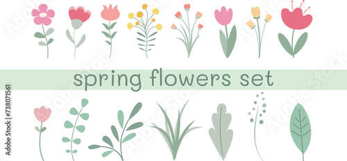 Set of flowers and leaves for spring designs. Floristry collection on white background.