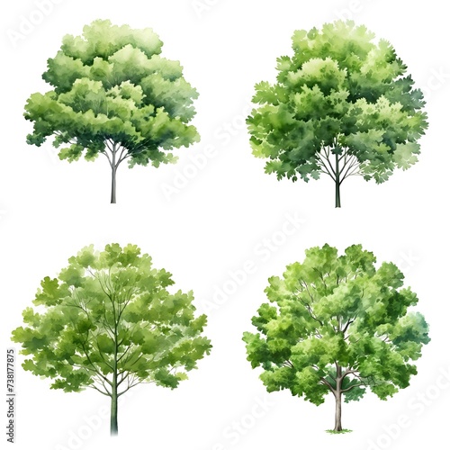 set of watercolor trees
