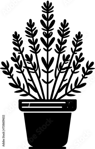 Huaceae Plant icon 13