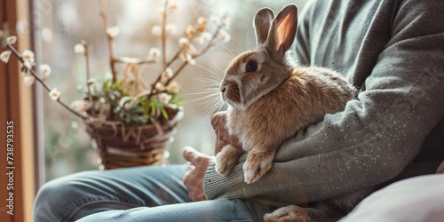 A fluffy rabbit sitting in a person lap, both enjoying a quiet moment of peace together , concept of Calmness