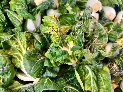 Selective focus Sawi pagoda organik or organic tatsoi. Tatsoi is an Asian variety of Brassica rapa grown for greens. Also called tat choy, it is closely related to the more familiar Bok Choy