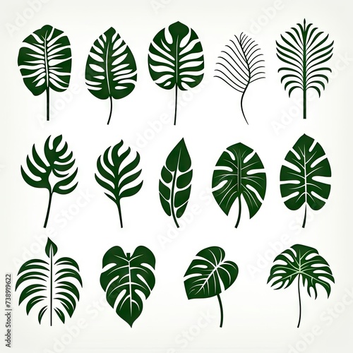 Monstera Leaf Icon Collection, Exotic Leaves Silhouettes, Tropical Plant Symbols, Simple Monstera