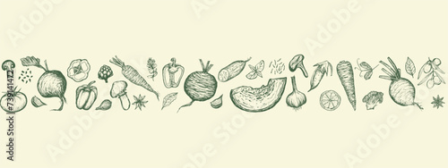 Horizontal seamless banner of Vegetables set. Vegetarian food sketch, hand drawn illustration. Harvesting, vegetarianism. Banner of Healthy food, proper nutrition.