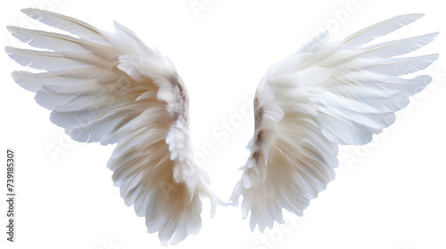 white angel wings on transparent background