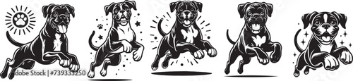 Boxer breed dog, full silhouette black and white vector