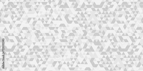 Abstract gray and white cube chain rough triangular low polygon backdrop background. geometric pattern gray and white Polygon Mosaic triangle Background, business and corporate background.